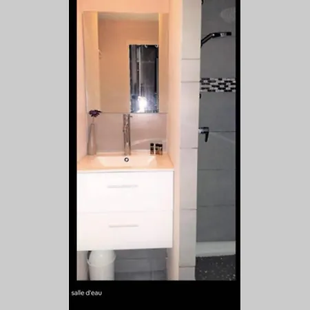 Studio Standing 2-3 Personnes Cap D'Agde Agde